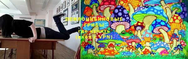 эйфоретик Богородск