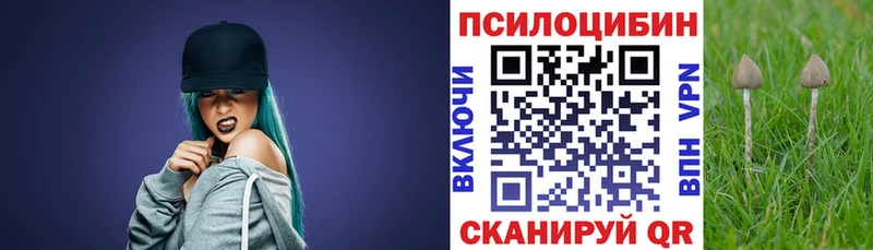 Псилоцибиновые грибы Psilocybe  закладки  кракен как зайти  Междуреченск 